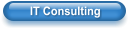 IT Consulting